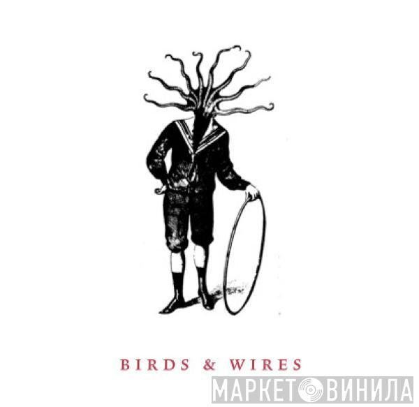 Birds & Wires - Birds & Wires