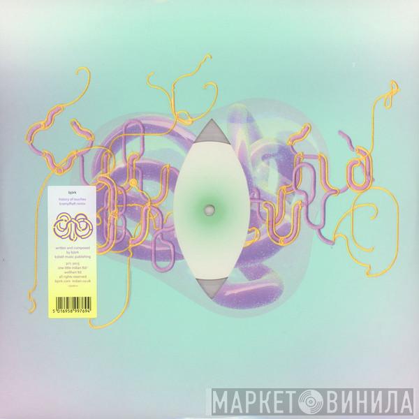 Björk - History Of Touches (Krampfhaft Remix)