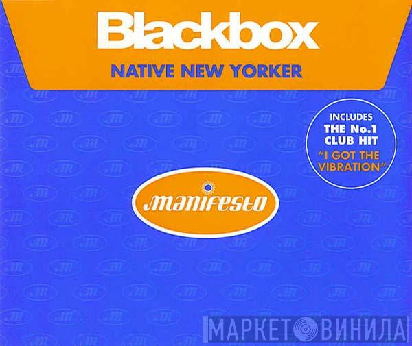 Black Box - Native New Yorker