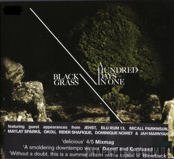 Black Grass - A Hundred Days In One