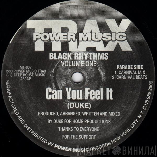 Black Rhythms - Can You Feel It