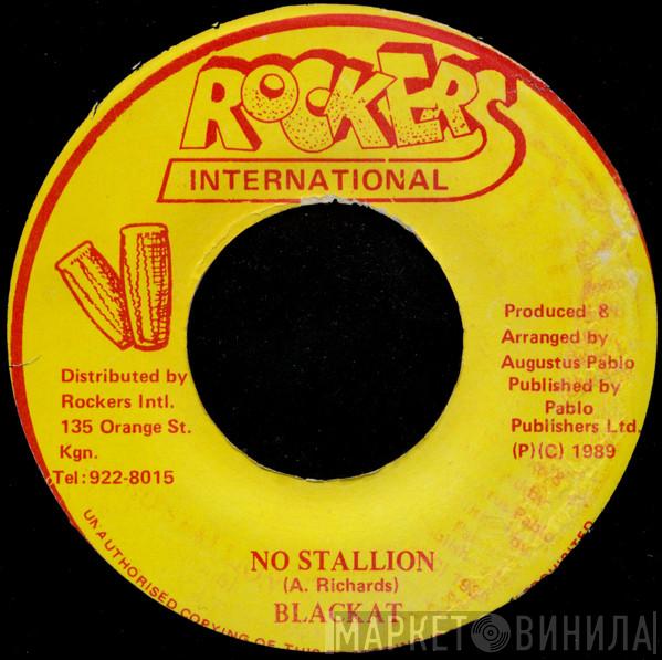 Blacka T - No Stallion