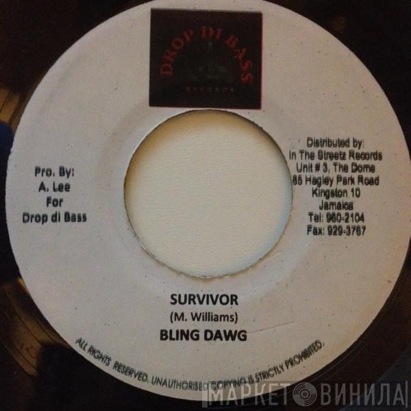 Bling Dawg, Madd Anju - Survivor / Country B