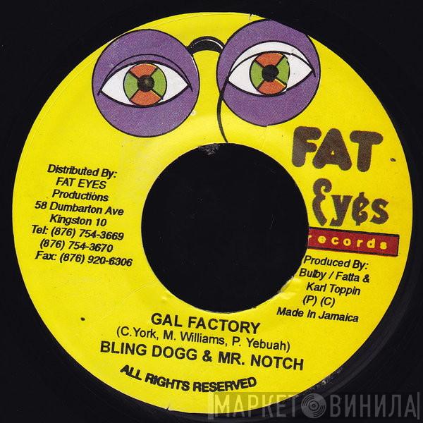 Bling Dawg, Notch, Robyn , Lady Saw - Gal Factory / One Night Stand