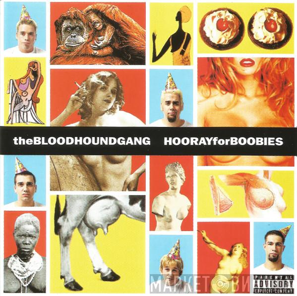  Bloodhound Gang  - Hooray For Boobies