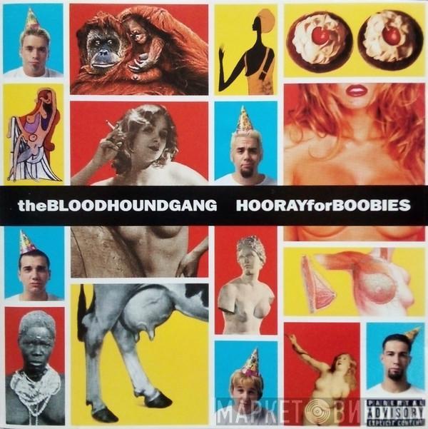  Bloodhound Gang  - Hooray For Boobies