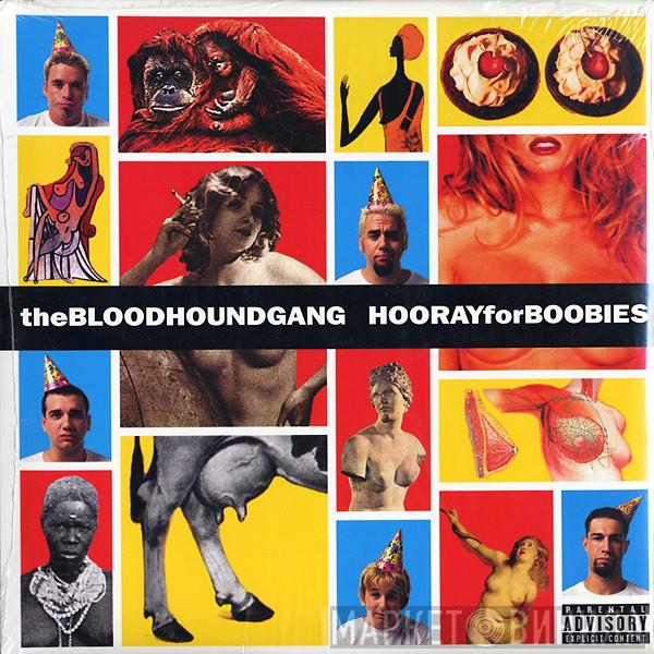  Bloodhound Gang  - Hooray For Boobies