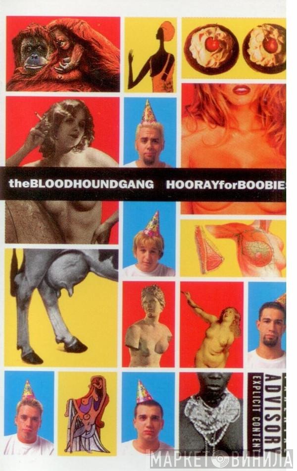  Bloodhound Gang  - Hooray For Boobies