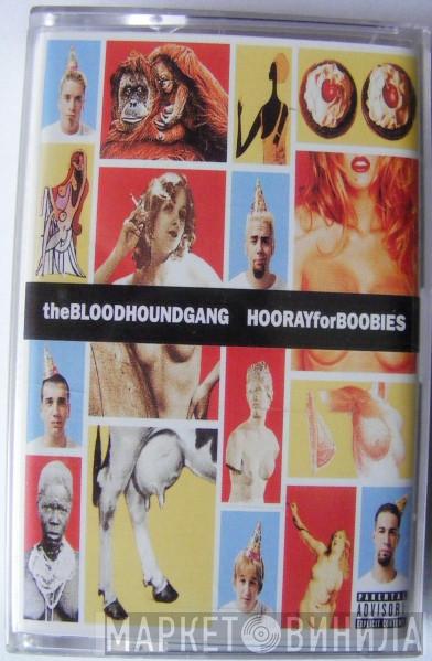  Bloodhound Gang  - Hooray For Boobies