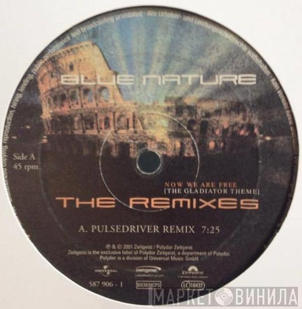 Blue Nature - Now We Are Free (The Gladiator Theme) - The Remixes