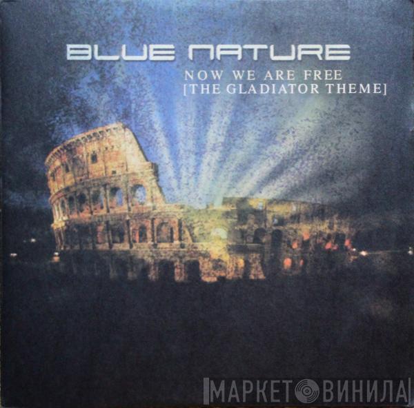 Blue Nature - Now We Are Free (The Gladiator Theme)