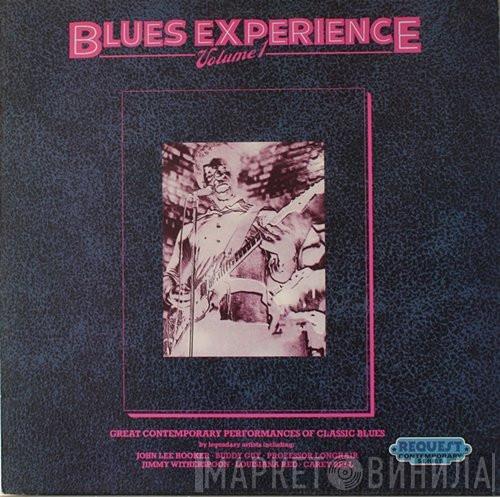  - Blues Experience Volume 1