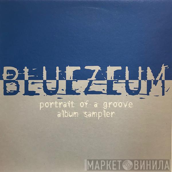 Bluezeum - Portrait Of A Groove Album Sampler