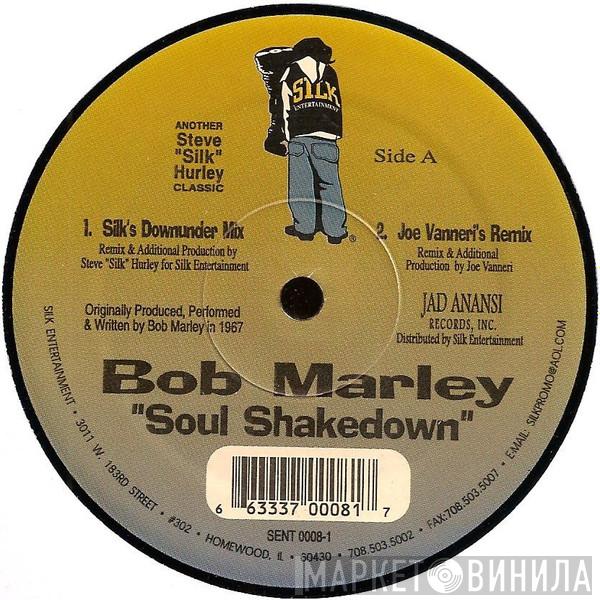Bob Marley - Soul Shakedown