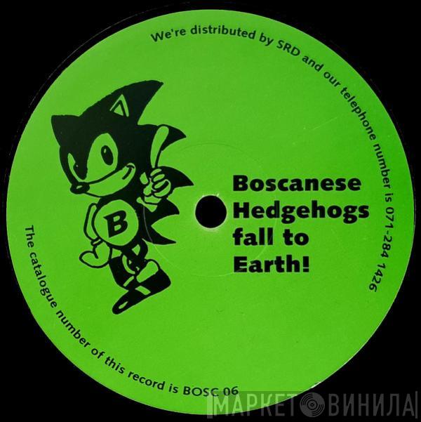 Boscanese Hedgehogs Fall To Earth - Boscanese Hedgehogs Fall To Earth