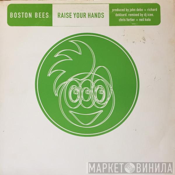 Boston Bruins - Raise Your Hands