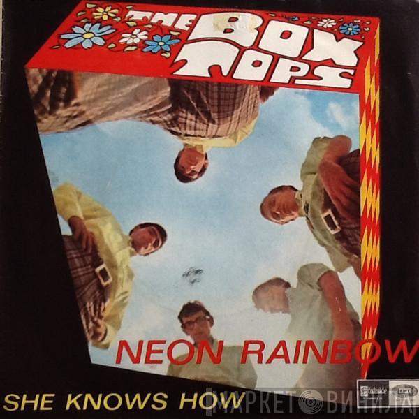 Box Tops - Neon Rainbow