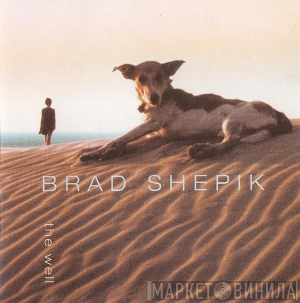 Brad Shepik - The Well