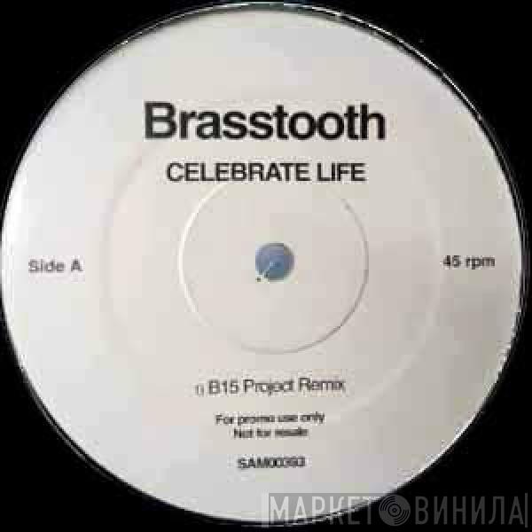 Brasstooth - Celebrate Life (B15 Project Remix)