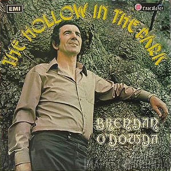  Brendan O'Dowda  - The Hollow In The Park