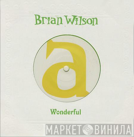 Brian Wilson - Wonderful