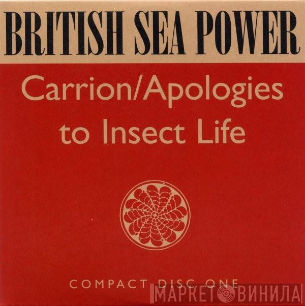 British Sea Power  - Carrion / Apologies To Insect Life