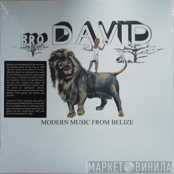  Bro. David  - Modern Music From Belize