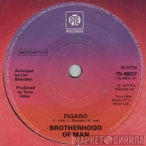 Brotherhood Of Man - Figaro