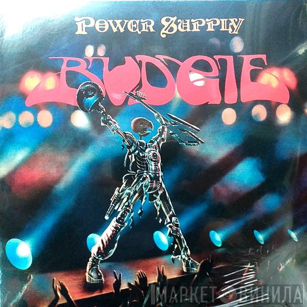  Budgie  - Power Supply