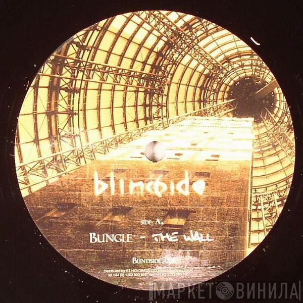 Bungle - The Wall / Sky High
