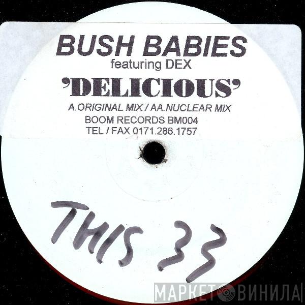 Bush Babies, DEX - Delicious