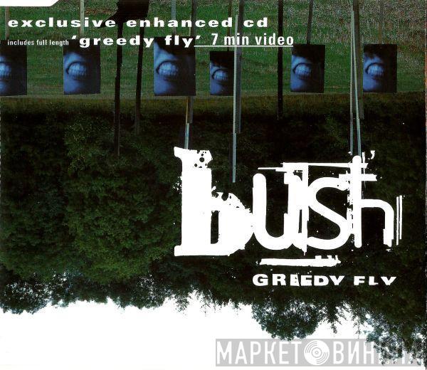 Bush - Greedy Fly