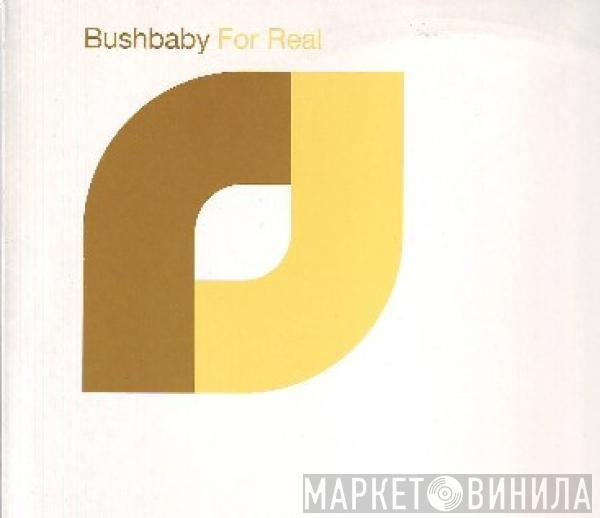 Bushbaby - For Real