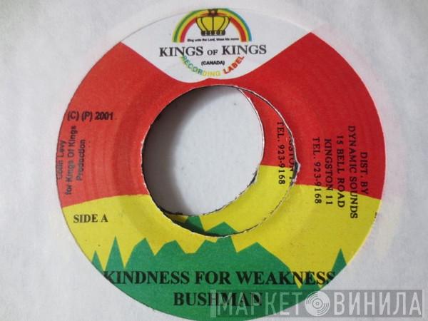 Bushman , Iley Dread - Kindness For Weakness / Carry The Cross
