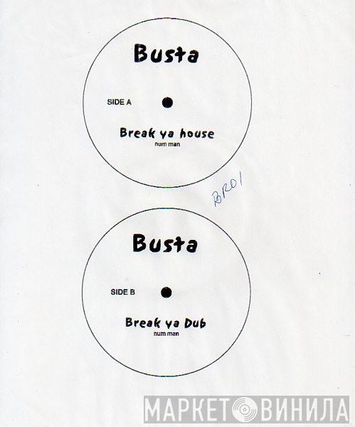 Busta Rhymes - Break Ya House