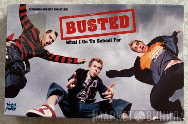 Busted  - What I Go To School For
