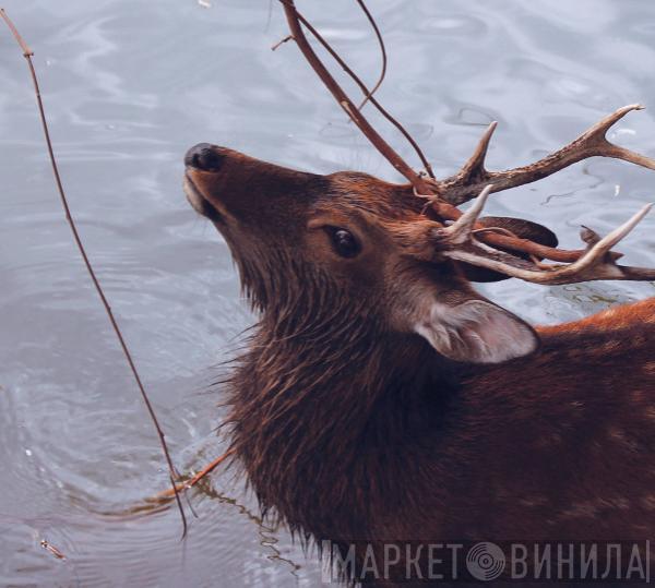 By The Waterhole - Two