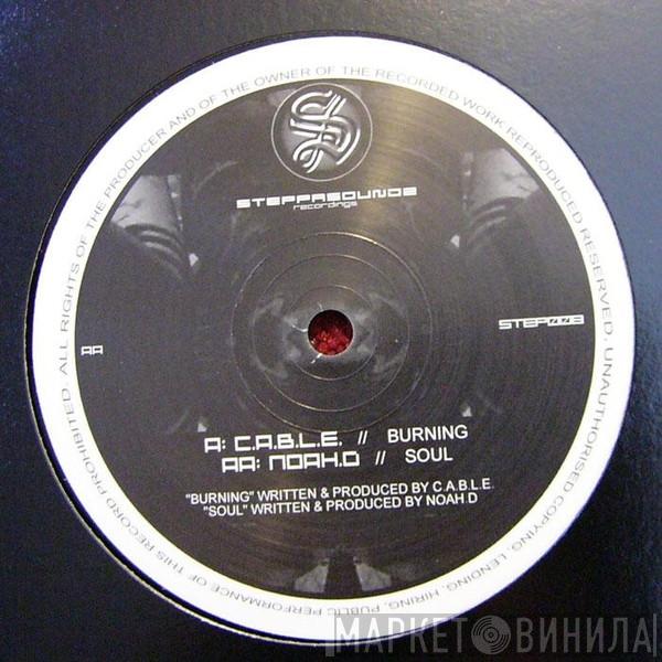 C.A.B.L.E., Noah D - Burning / Soul