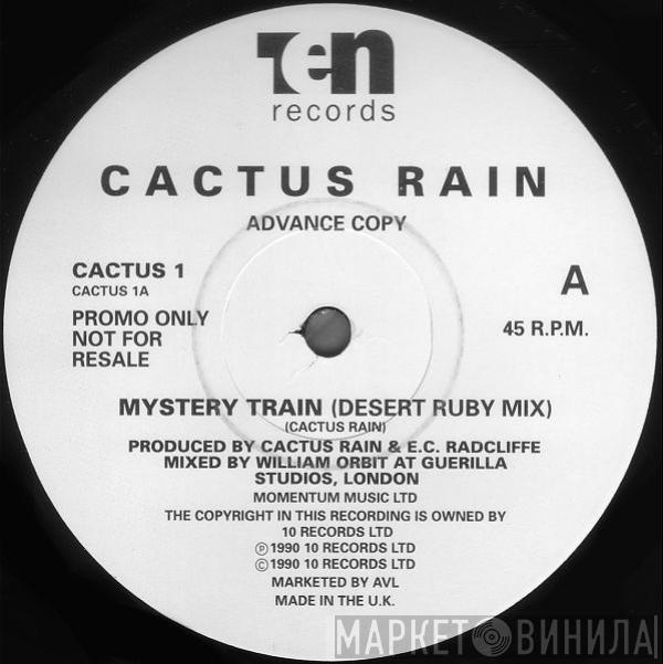 Cactus Rain - Mystery Train