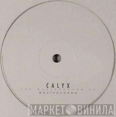 Calyx - The Wasteground EP