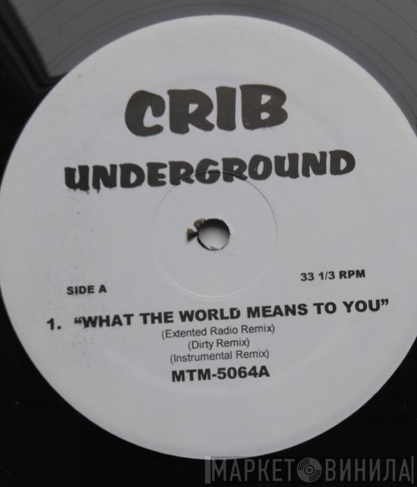 Cam'ron, Dave Hollister, B.G. - What The World Means To You / Keep On Lovin' / Change The World