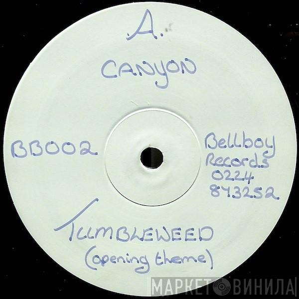 Canyon - Tumbleweed