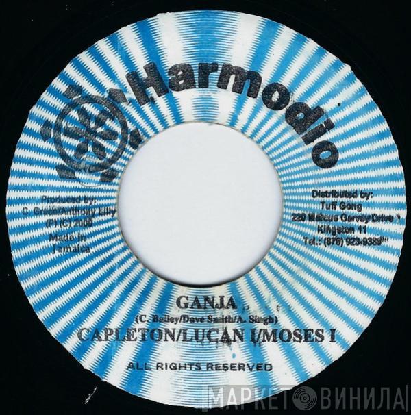 Capleton, Lucan I, Moses I - Ganja