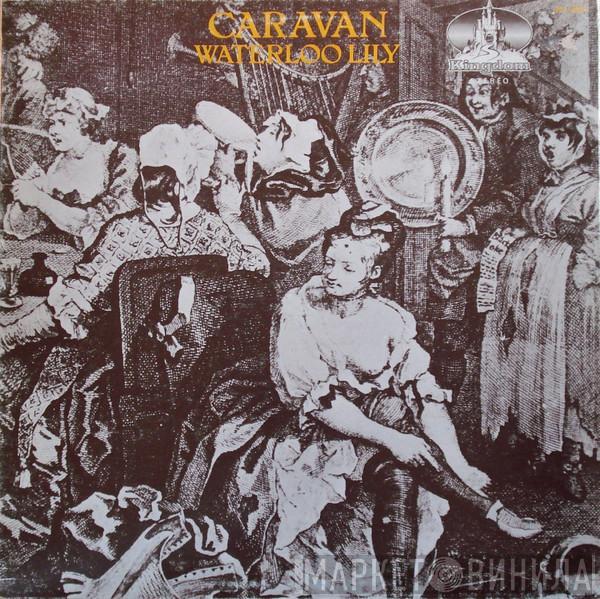Caravan - Waterloo Lily
