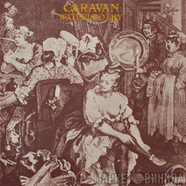 Caravan - Waterloo Lily