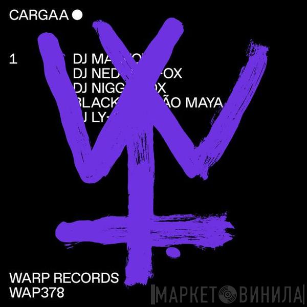 - Cargaa 1