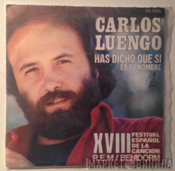 Carlos Luengo - Has Dicho Que Si - XVIII Festival Español de la Cancion R.E.M. / Benidorm