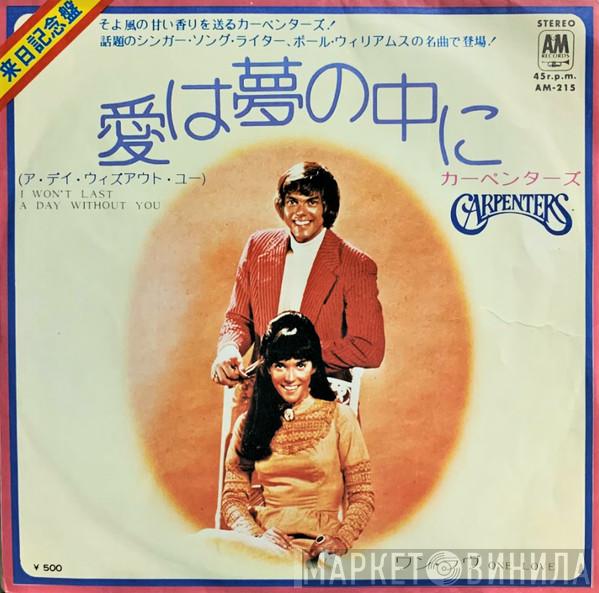 Carpenters  - I Won't Last A Day Without You