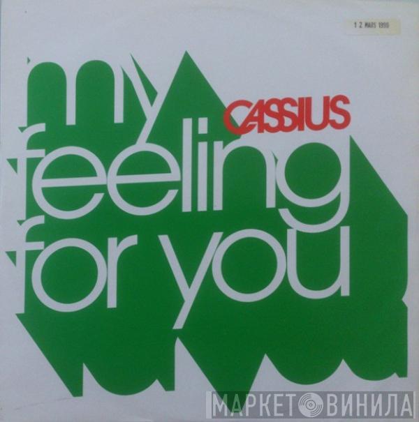  Cassius  - Feeling For You