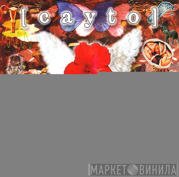 Cayto - Blunderbuss